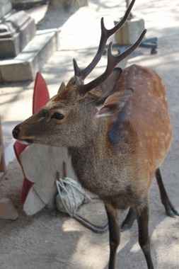 s-IMG_5668_20110917101518.jpg