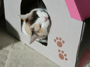 002_convert_20131127112059.jpg