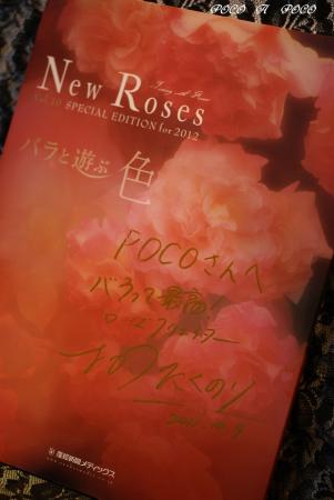NEW ROSES