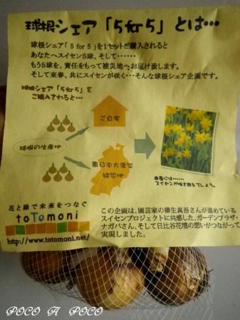 球根シェア「5for5」