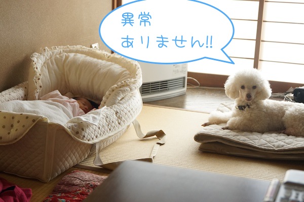 DSC01311.jpg