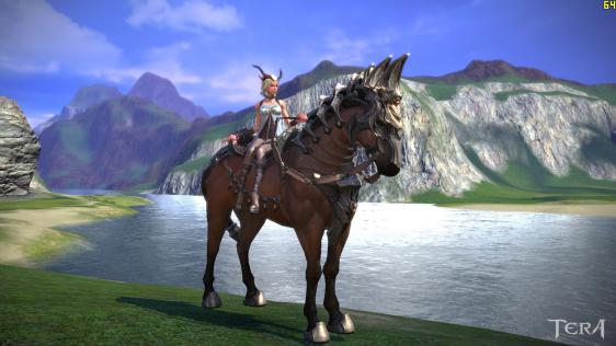 TERA_ScreenShot_20110810_212540.jpg
