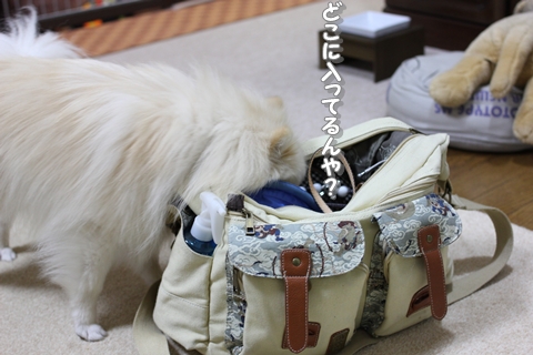 20130124-IMG_6998.jpg