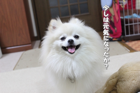 20130131-IMG_5889.jpg