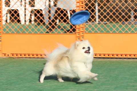 20130204-IMG_7418.jpg