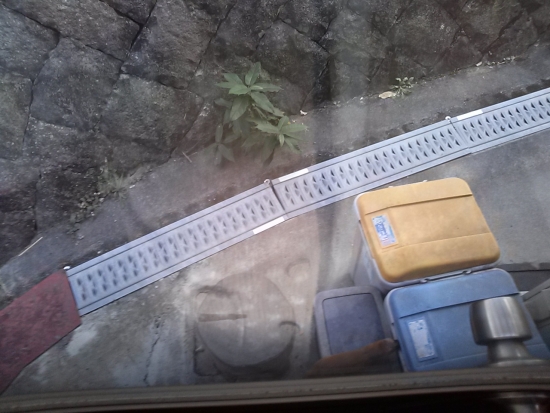 IMG00818.jpg