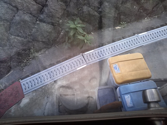 IMG00819.jpg