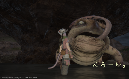 ffxiv_20131216_163527.png