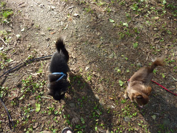 P1010295.jpg