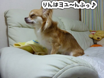 P1010369.jpg