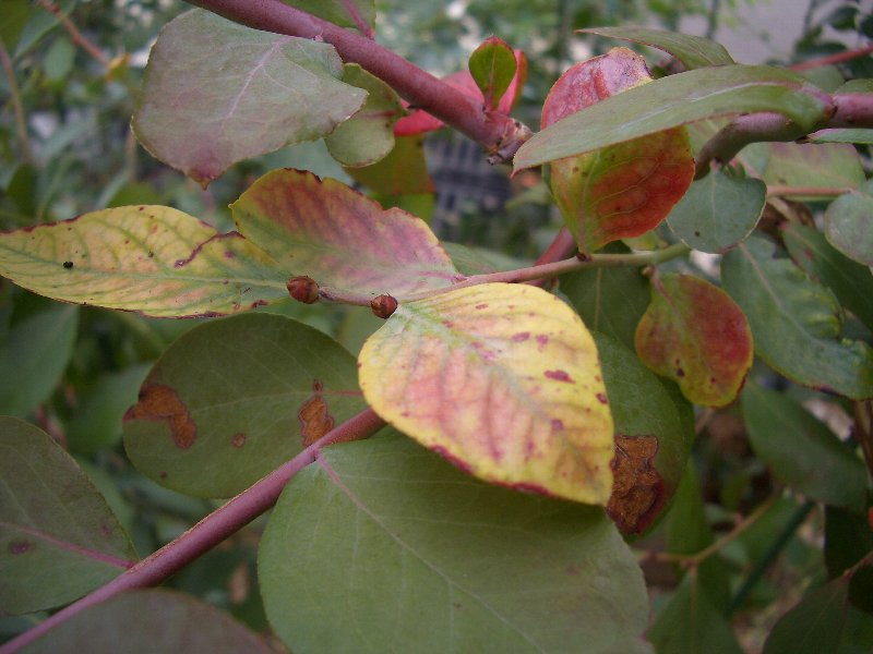20111109_001.jpg