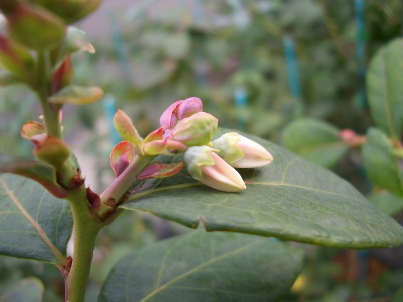 20111109_012.jpg