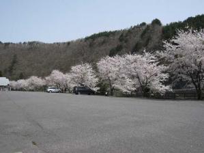 IMG_0799 s