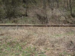 IMG_0834 s