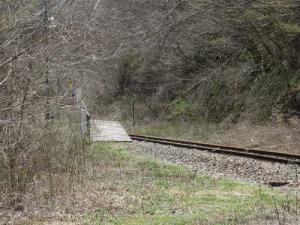 IMG_0835 s