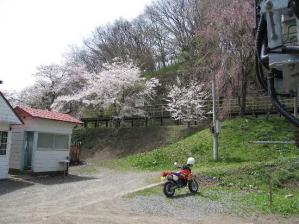 IMG_0896 s