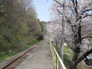 IMG_0902 s