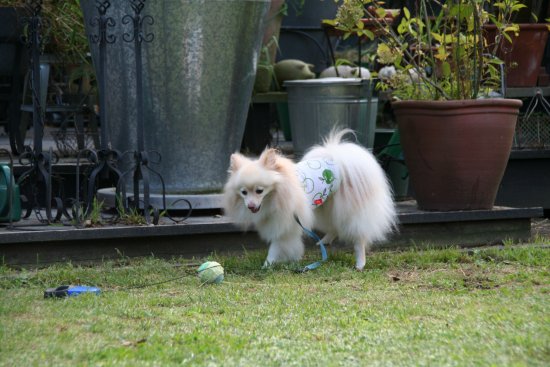 p20110911-13.jpg