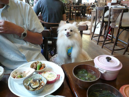 p20110919pan6.jpg