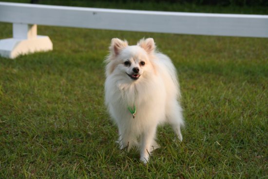p20111009run23.jpg