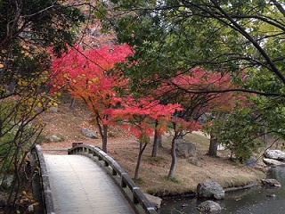2013-11-26-6.jpg