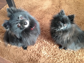 2013-12-18-5.jpg