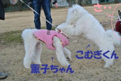 003_convert_20130206145305.jpg