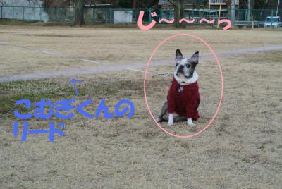 005_convert_20130206145440.jpg