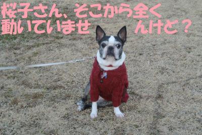 007_convert_20130206145613.jpg