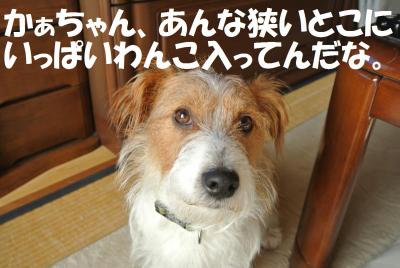 036_convert_20130208142651.jpg