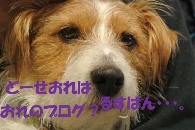 062_convert_20130131150725.jpg