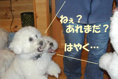 083_convert_20130131151529.jpg