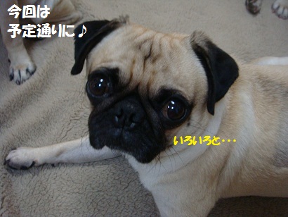 DSC00579.jpg