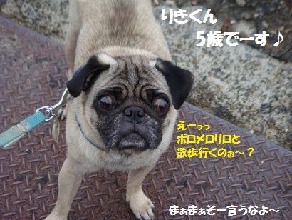 DSC03043.jpg