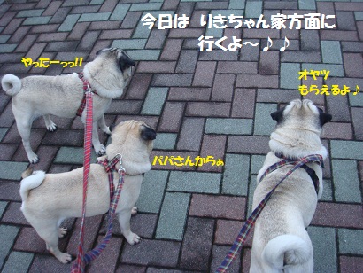 DSC03062.jpg