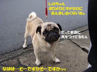 DSC03092.jpg