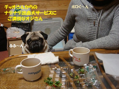 DSC03334.jpg