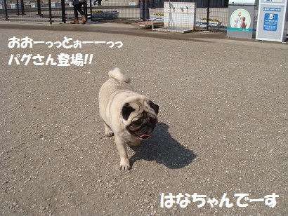DSC03675.jpg