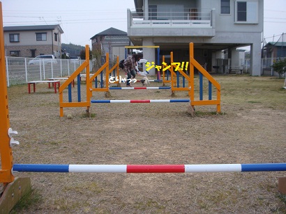 DSC03741.jpg