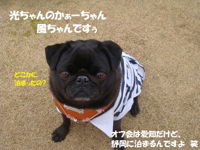 DSC04024.jpg
