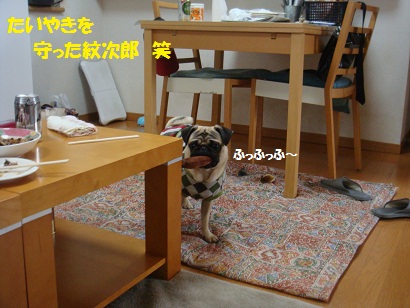 DSC04410.jpg