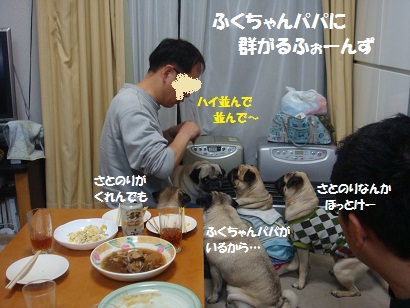 DSC04476.jpg