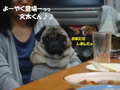 DSC04514.jpg