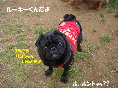 DSC04569.jpg