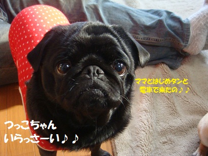 DSC04725.jpg