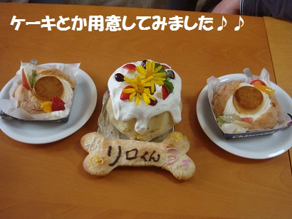 DSC05201.jpg