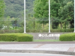 DSCN1240.jpg