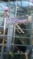 2011-0815_NMB2.jpg