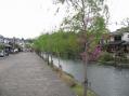 2012-0422_bikanchiku01.jpg