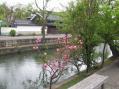 2012-0422_bikanchiku03.jpg